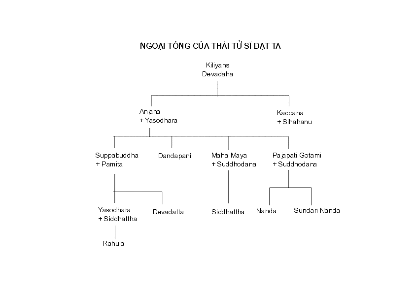 dp&pp01-ngoai.webp (9238 bytes)