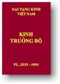 truongbo-bia.webp (4952 bytes)